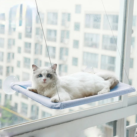 Cat Hammock Bed: Window Mounted, Wooden Climbing Seat - Shop N Save