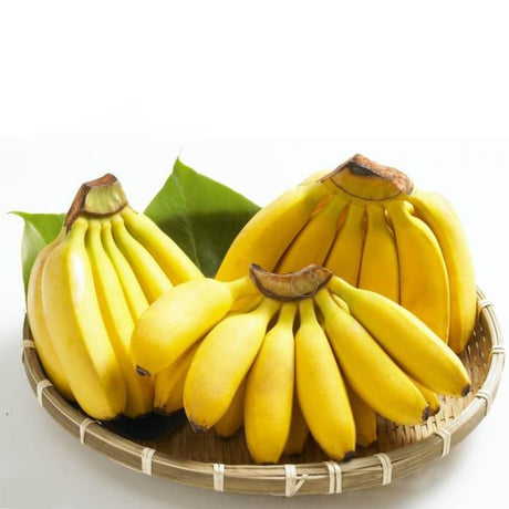 Banana Small Sweet
