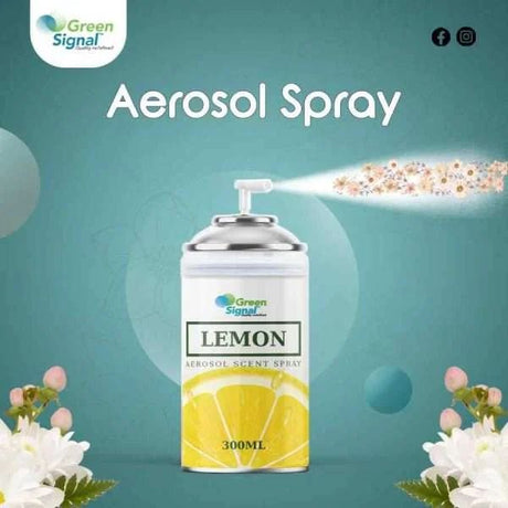 GS Aerosol Spray Lemon (300 ML) - Shop N Save