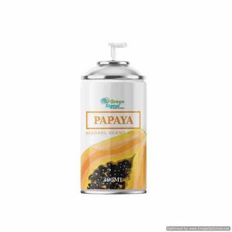 GS Aerosol Spray Papaya (300ML) - Shop N Save