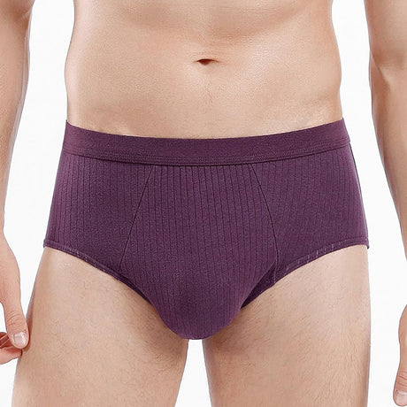 Men's Tag-Free Briefs: Cotton, Moisture-Wicking, Cooling Waistband (Purple) - Shop N Save