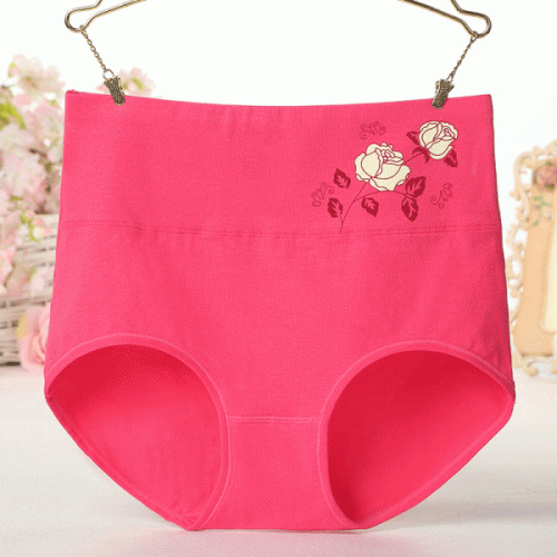 High Elastic Waist Floral Print Girls Panty Brief Women Undergarments –  Shop N Save