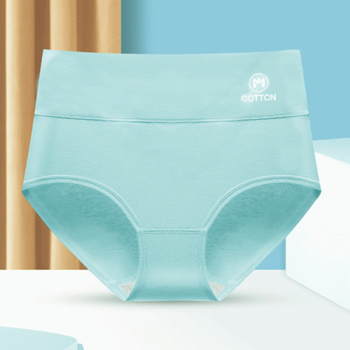 Stylish High Waist Brief Underwear Soft Summer Fabric Elastic Closure –  Shop N Save