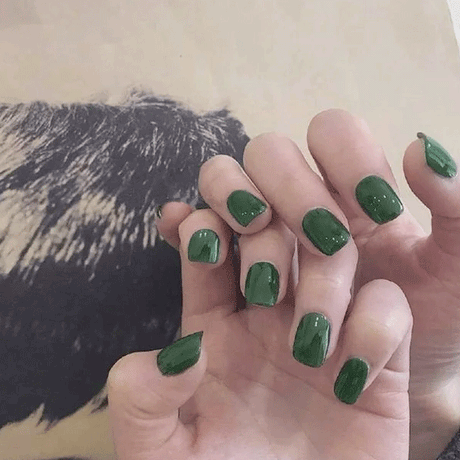 24 PCs Set Glossy Press On Nails Brown Short Fake Nails - Green - Shop N Save